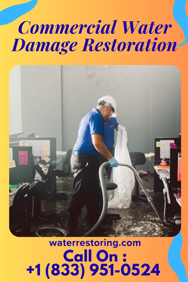 Commercial Water Damage Restoration in Dixon, IA