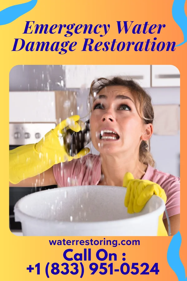 Emergency Water Damage Restoration in Dixon, IA